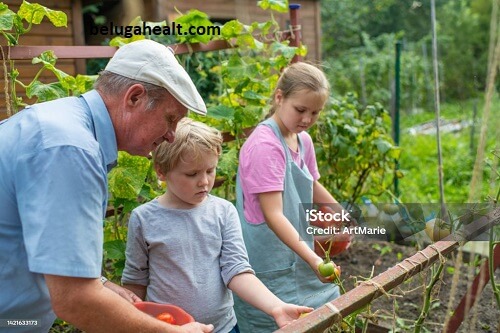 Uncle Herbs Health Center