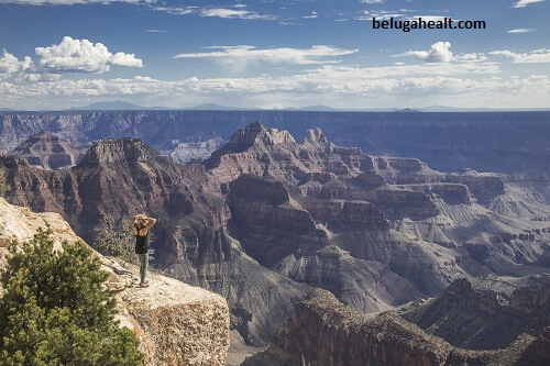 Arizona health literacy goals